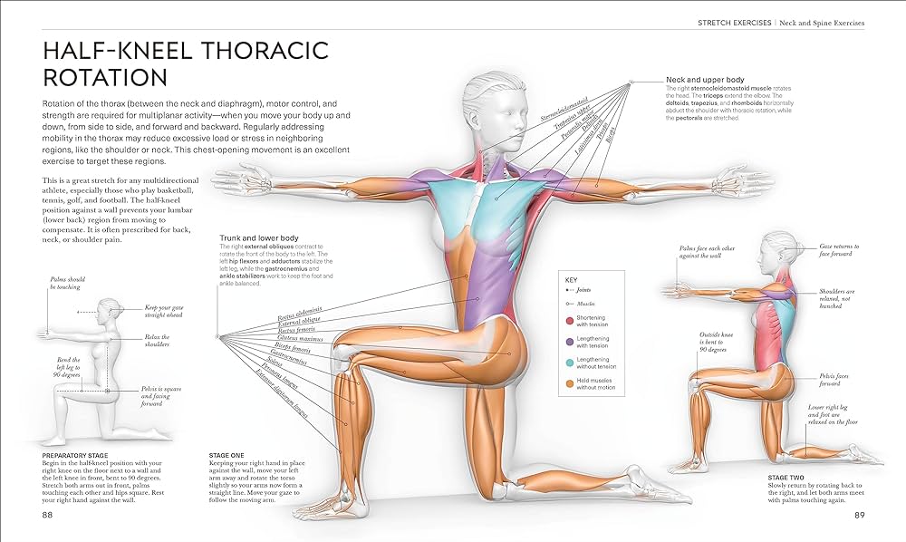 The Science of Stretching